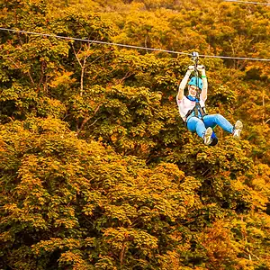 Summit Soar Fall Colours