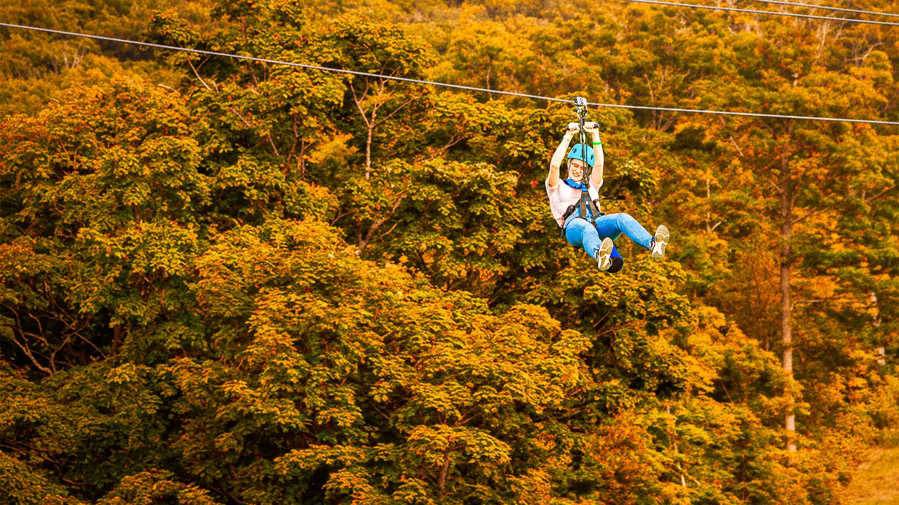 Summit Soar Fall Colours