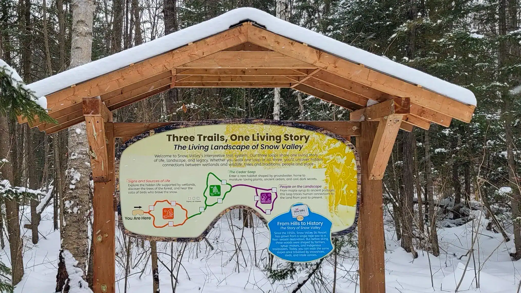 snowshoeTrail